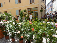 Dieulefit dans son jardin