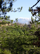 Rando vitrouilleres 028